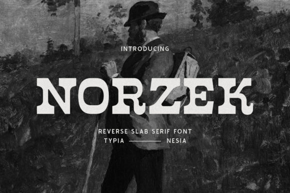 Enhance Your Web Design with Norzek Display Font